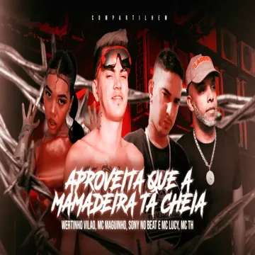 APROVEITA QUE A MAMADEIRA TA CHEIA-cover