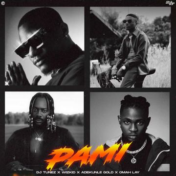 PAMI-cover