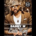 Low Key-cover