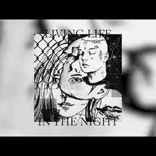 Living Life, In The Night-cover