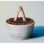 マリーゴールド