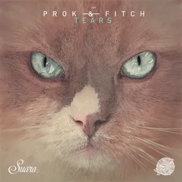Tears-cover