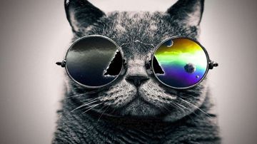 coveImg