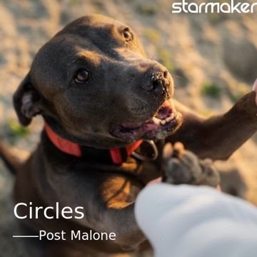 Circles-cover