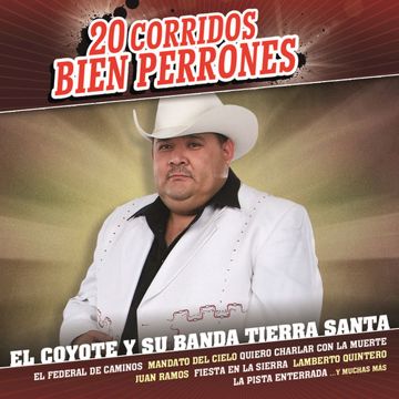 Amor Pajarito