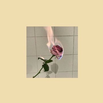 cigarettes & sex-cover
