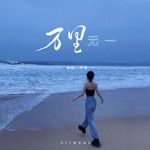 万里无一-cover