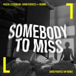 Somebody To Miss(David Puentez VIP Remix)(Remix)-cover