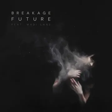 Future (Calibre Remix)-cover