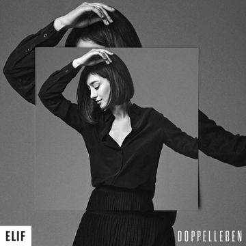 Doppelleben-cover