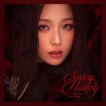 Spicy Honey (中文版 feat. 宝石Gem)-cover