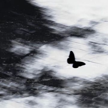 忧郁海-cover
