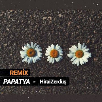 Papatya