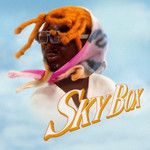 SKYBOX-cover