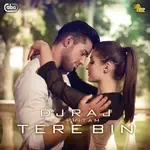 Tere Bin-cover