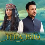 Tera Ishq-cover