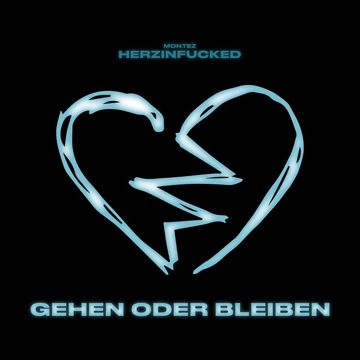 Gehen oder bleiben-cover