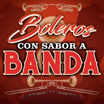 Necesito Una Compañera-cover