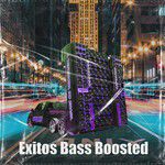 Pa' Santo Doming (Doble Tono Bass Boosted Song) [feat. F1 el Control]