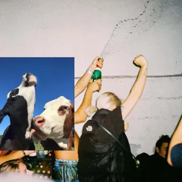 Secco Maracuja-cover