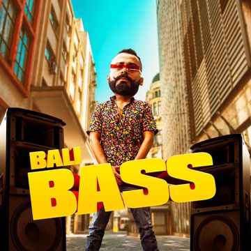 Bass-cover
