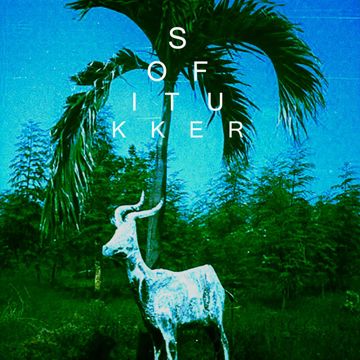 Hey Lion-cover