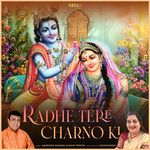 Radhe Tere Charno Ki-cover