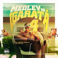 Medley de Igaratá 4-cover