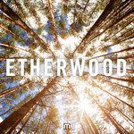 For My Sins(Etherwood Remix)-cover