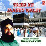 Jagah Jee Laganey Ki-cover