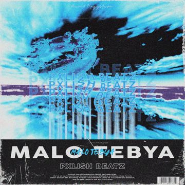 Malo Tebya - Pxlish Beatz Remix-cover
