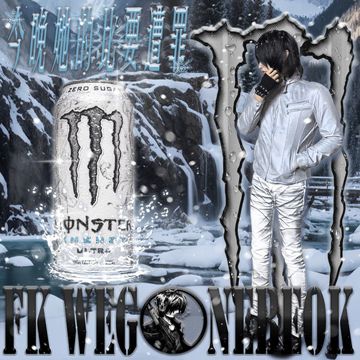 FK WEGONEBEOK-cover
