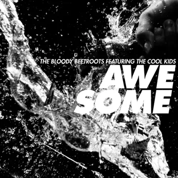 Awesome (feat. The Cool Kids)-cover
