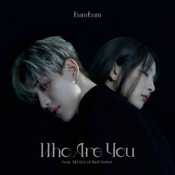 Who Are You (Feat. SEULGI of Red Velvet)-cover