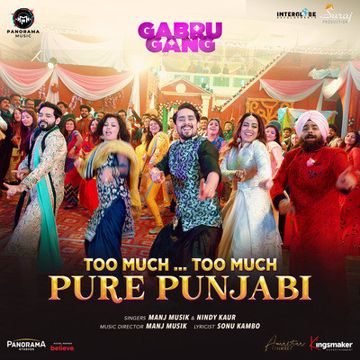 Too Much... Too Much Pure Punjabi-cover