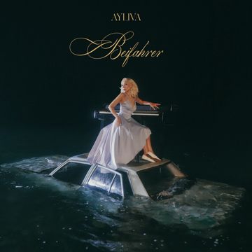 Beifahrer-cover