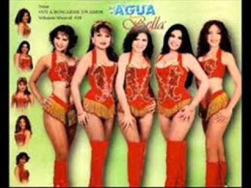 Voy a buscarme un amor