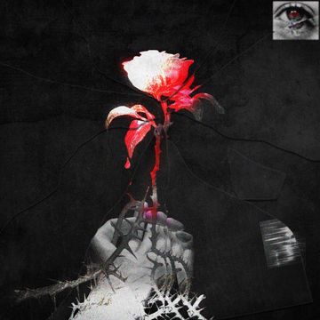 苦-cover