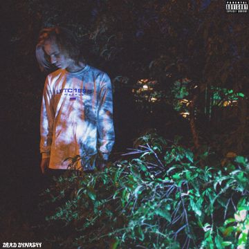 ДИКО, НАПРИМЕР-cover