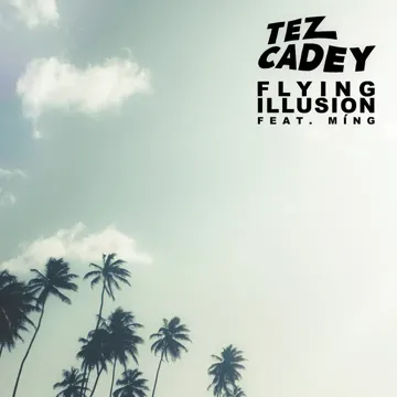 Flying Illusion (feat. Míng)
