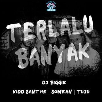 Terlalu Banyak-cover