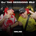 SALAS   DJ TAO Turreo Session 12-cover