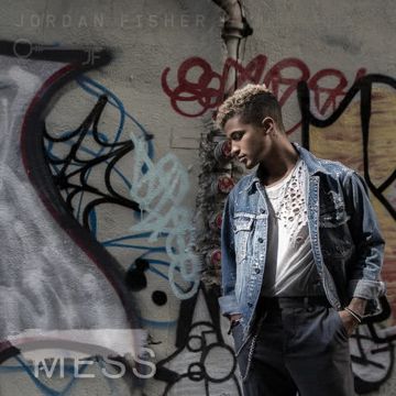 Mess-cover