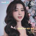 Cánh Hoa Héo Tàn(Ducth Music Remix)-cover