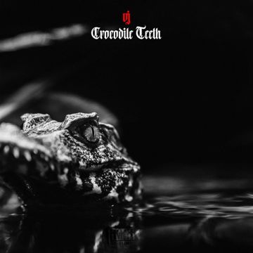 Crocodile Teeth