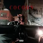 Cocoon-cover