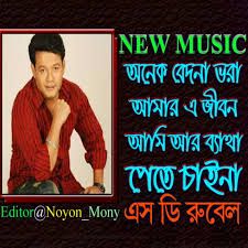 অনেক বেদনা ভরা