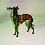 i am-cover