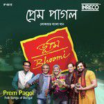Nishithe Jaiyo Phulo Bone-cover