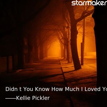Didn't You Know How Much I Loved You